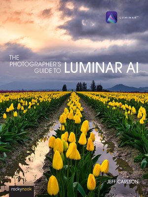 cover image of The Photographer's Guide to Luminar AI